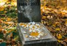 Someone Kept Throwing Eggs at My Husband’s Gravestone – One Day, I Saw Who It Was, and It Nearly Destroyed My Life